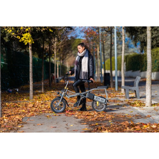 Electric Tricycle ICe Q10 48V